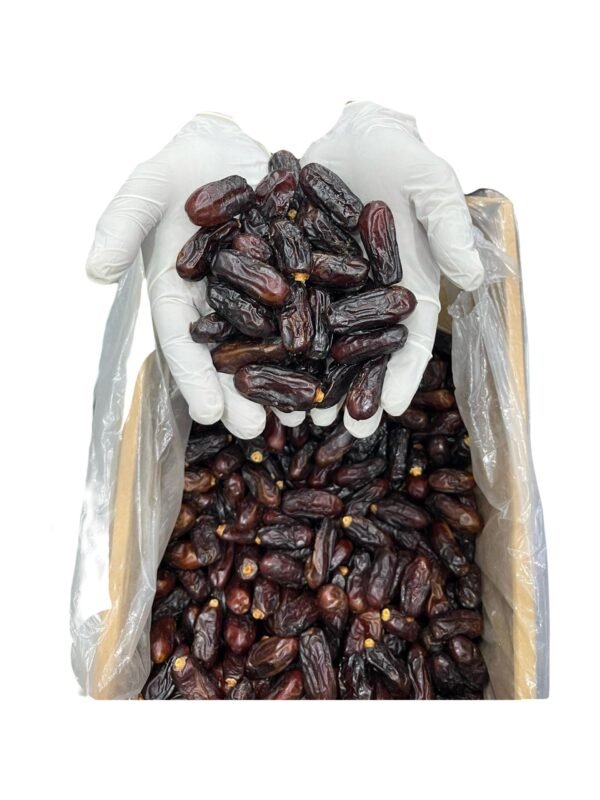 Saudi Dates Soft With Seed
