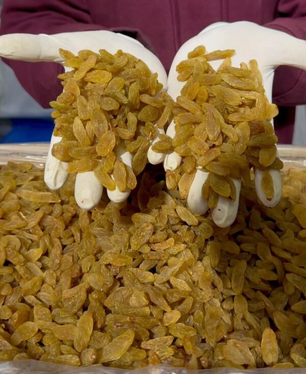 Green Raisins (Kishmish) (Juicy)