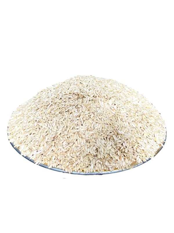 Kheera Cucumber Seeds