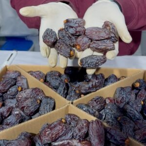 Medjool Dates (Khajur) Jumbo - 1 KG