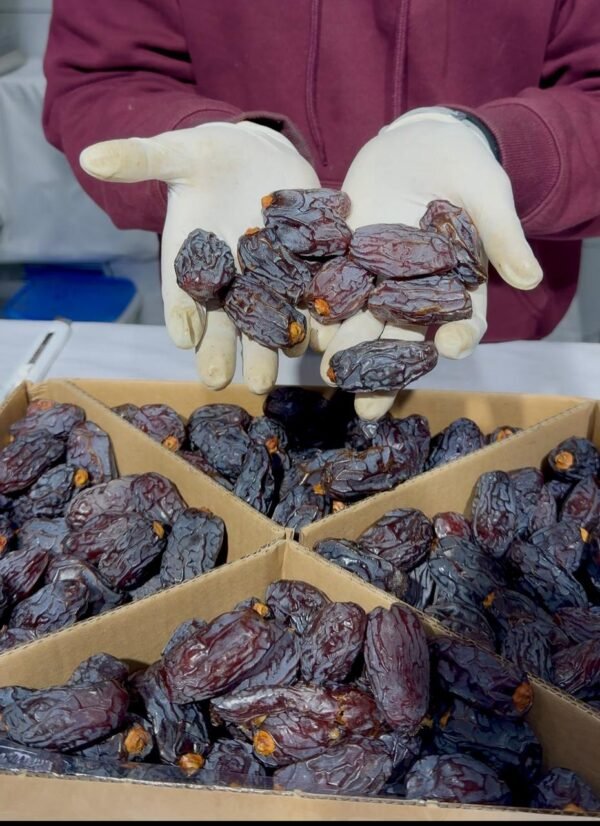 Medjool Dates (Khajur) Jumbo