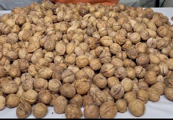 Walnuts Whole Kashmiri Medium Size Hard Paper Shell Walnuts (Akhrot)