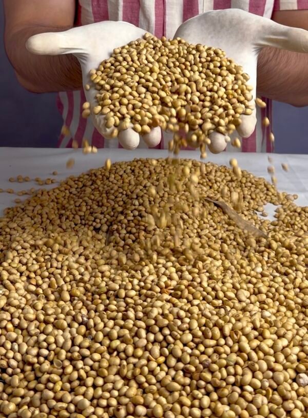 Soyabean Roasted Soyabean Protein Rich